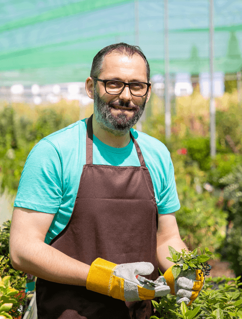 positive-male-florist-standing-among-rows-with-potted-plants-greenhouse-cutting-bush-holding-sprouts 1 (2) (1) positive-male-florist-standing-among-rows-with-potted-plants-greenhouse-cutting-bush-holding-sprouts 1 (2) (1)