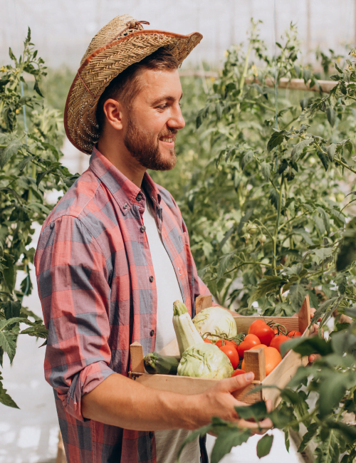 farmer-greenhouse-holding-box-vegetables 1